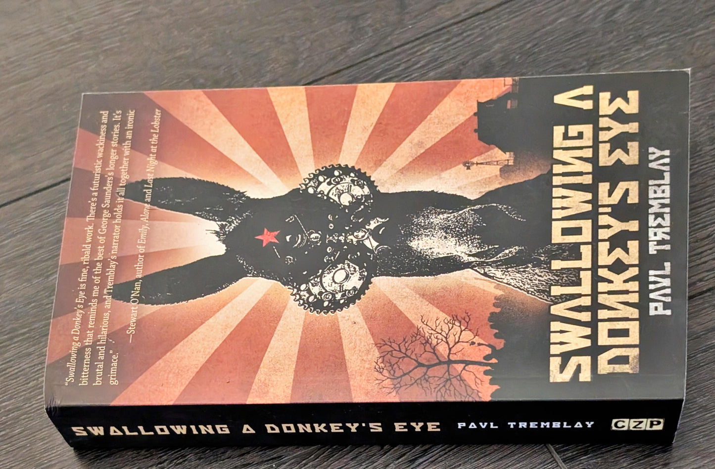 Swallowing a Donkey's Eye by Paul Tremblay