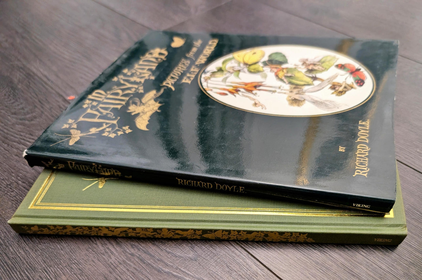 In Fairyland: A Series of Pictures from the Elf World by Richard Doyle