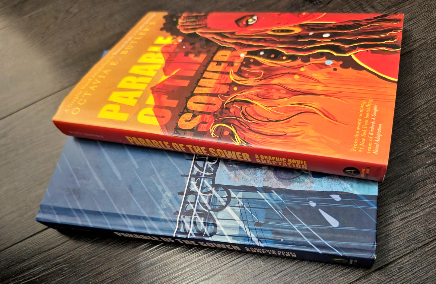 Parable of the Sower by Octavia E. Bulter Graphic Novel adaptation by Damian Duffy and John Jennings