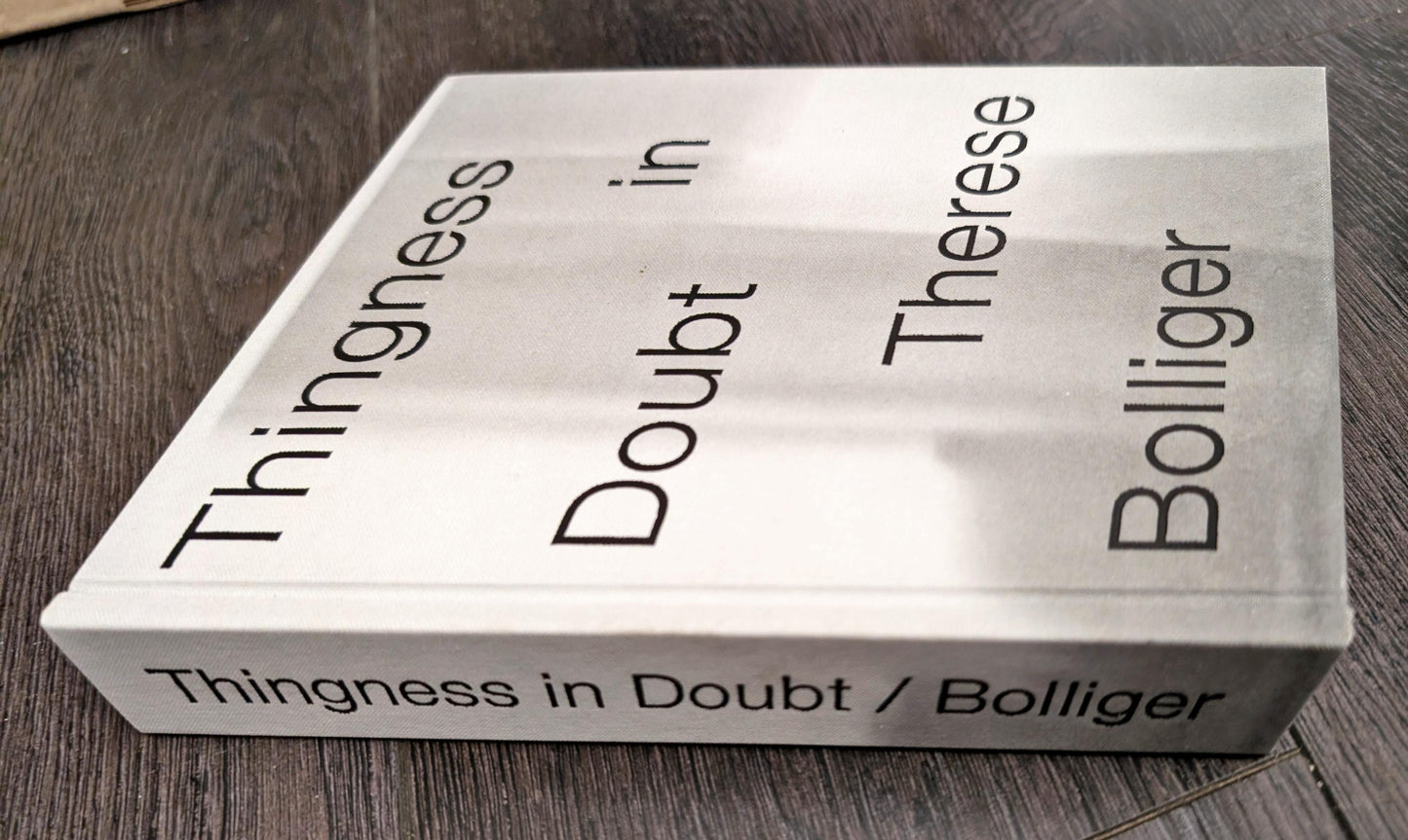Thingness in Doubt by Therese Bolliger
