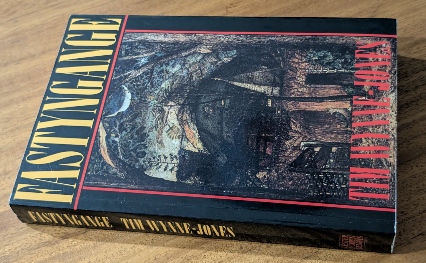 Fastyngange by Tim Wynne-Jones