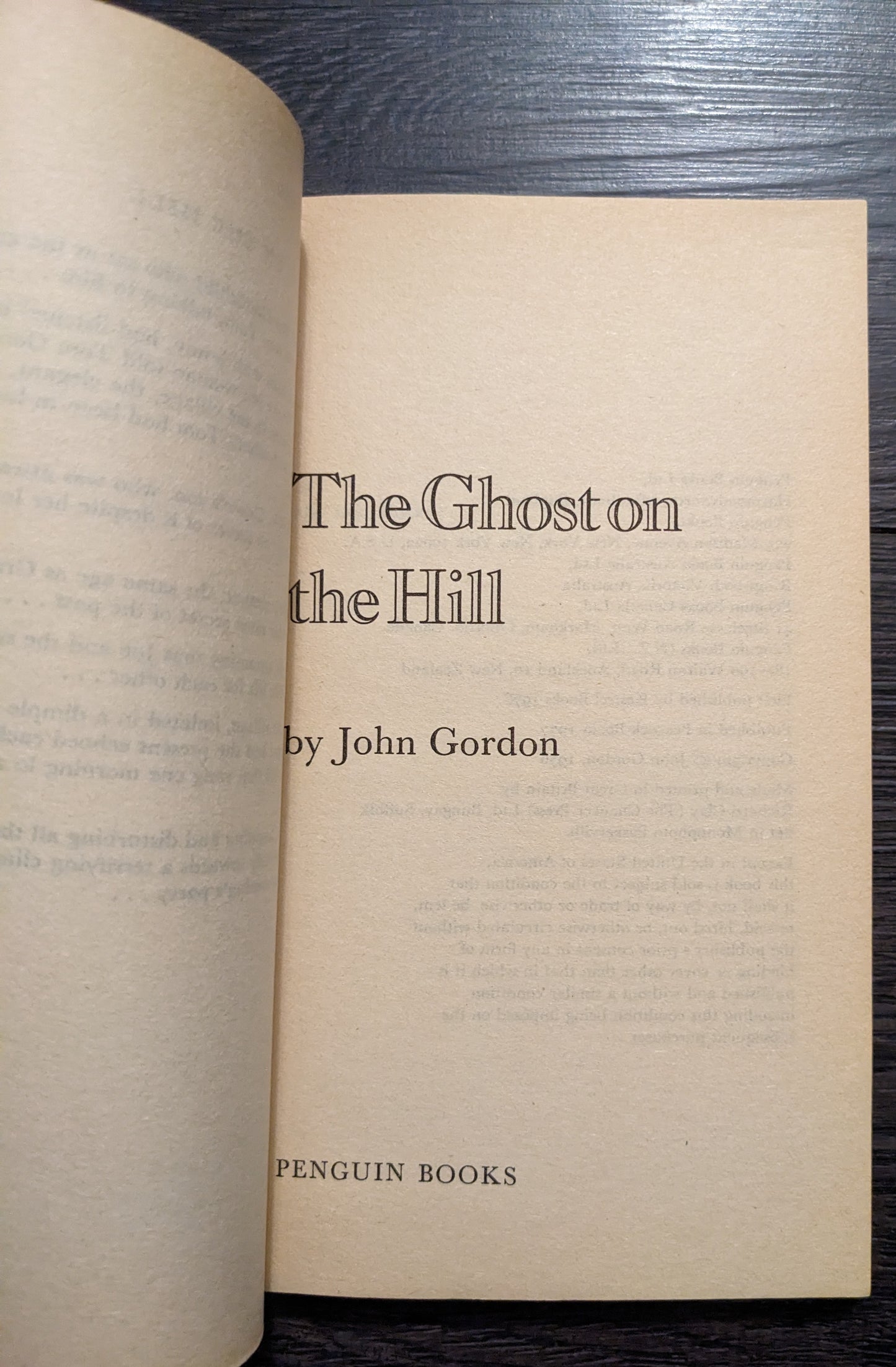 The Ghost on the Hill by John Gordon