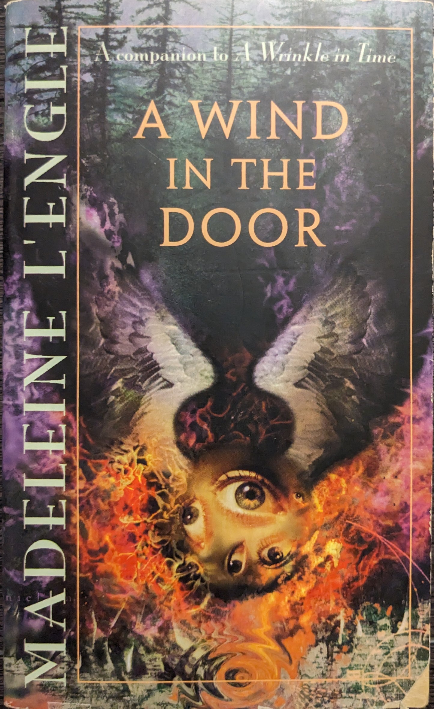 A Wind in the Door by Madeline L'Engle