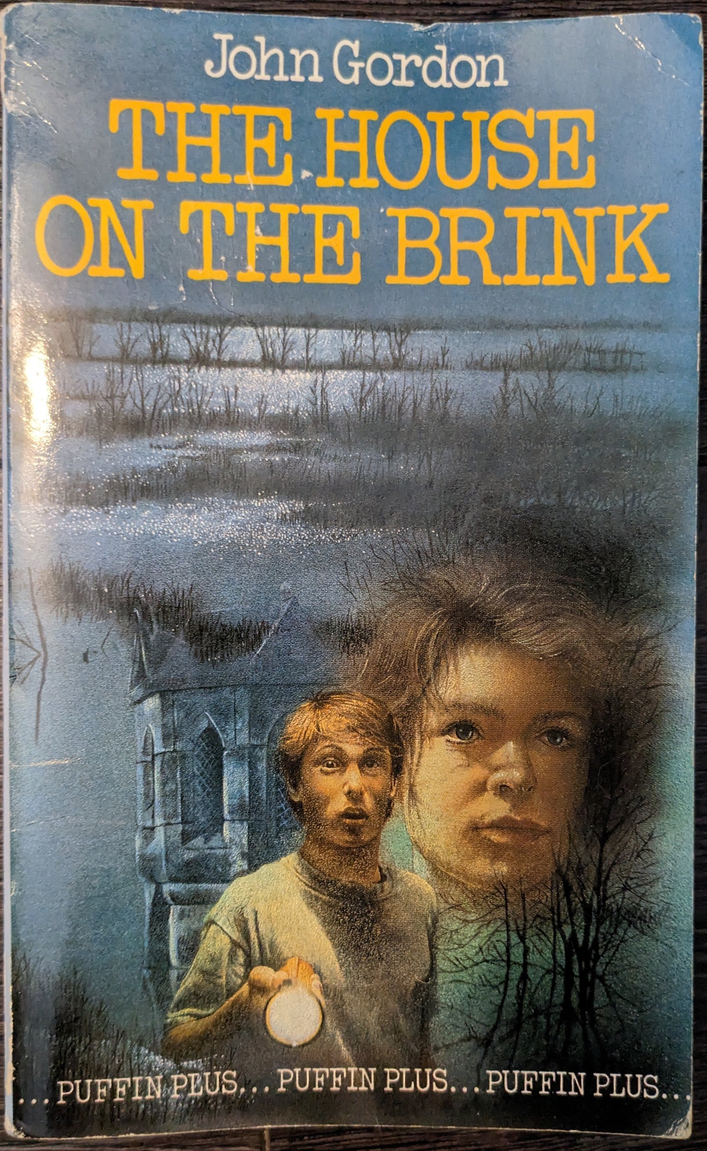 The House on the Brink by John Gordon