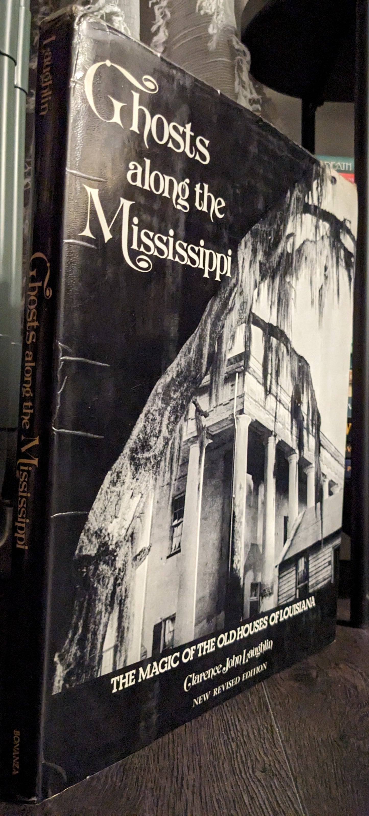 Ghosts Along the Mississippi: The Magic of the Old Houses of Louisiana by John Clarence Laughlin