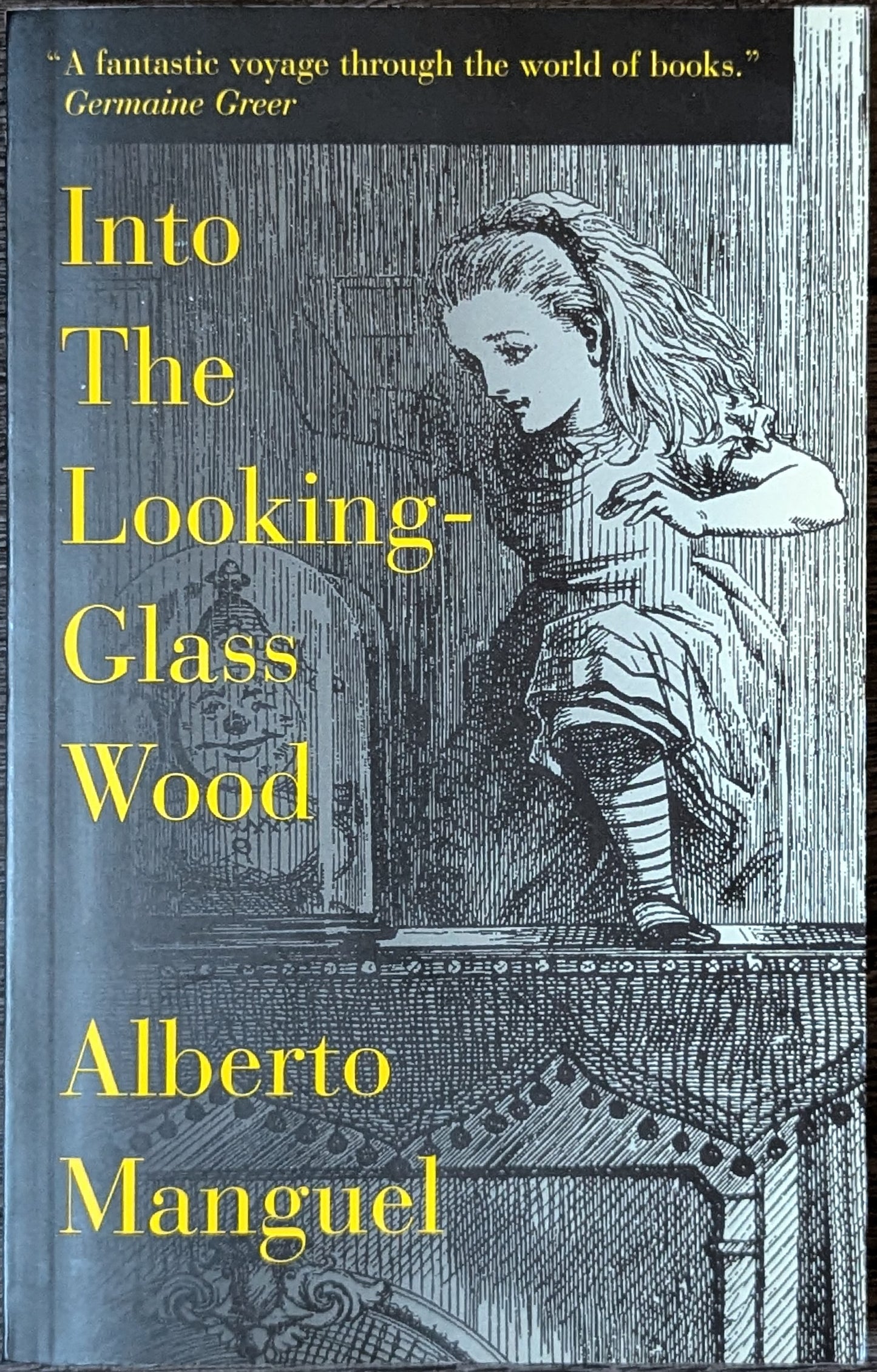 Into the Looking-Glass Wood by Alberto Manguel