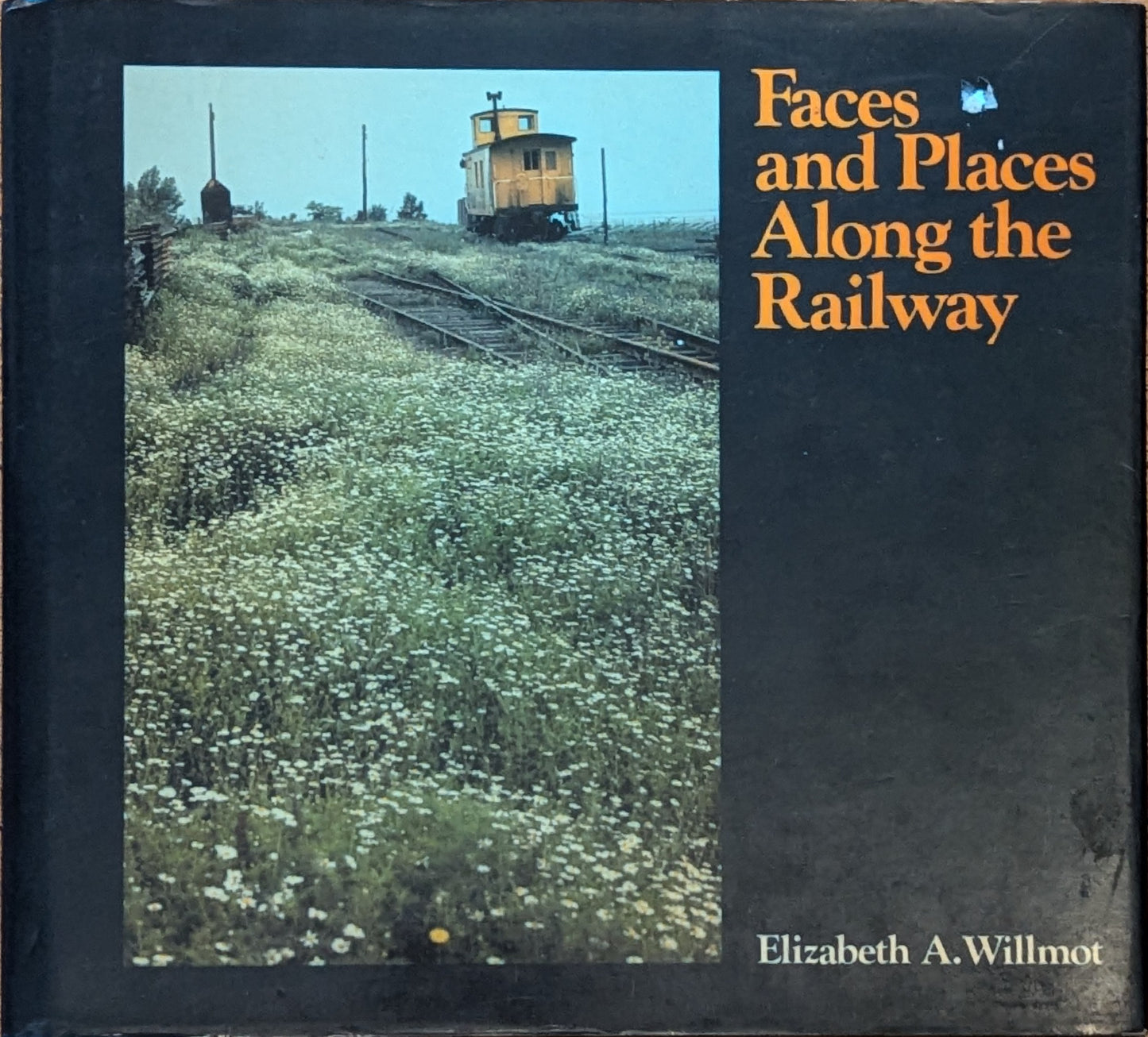 Faces and Places Along the Railway by Elizabeth A. Willmot