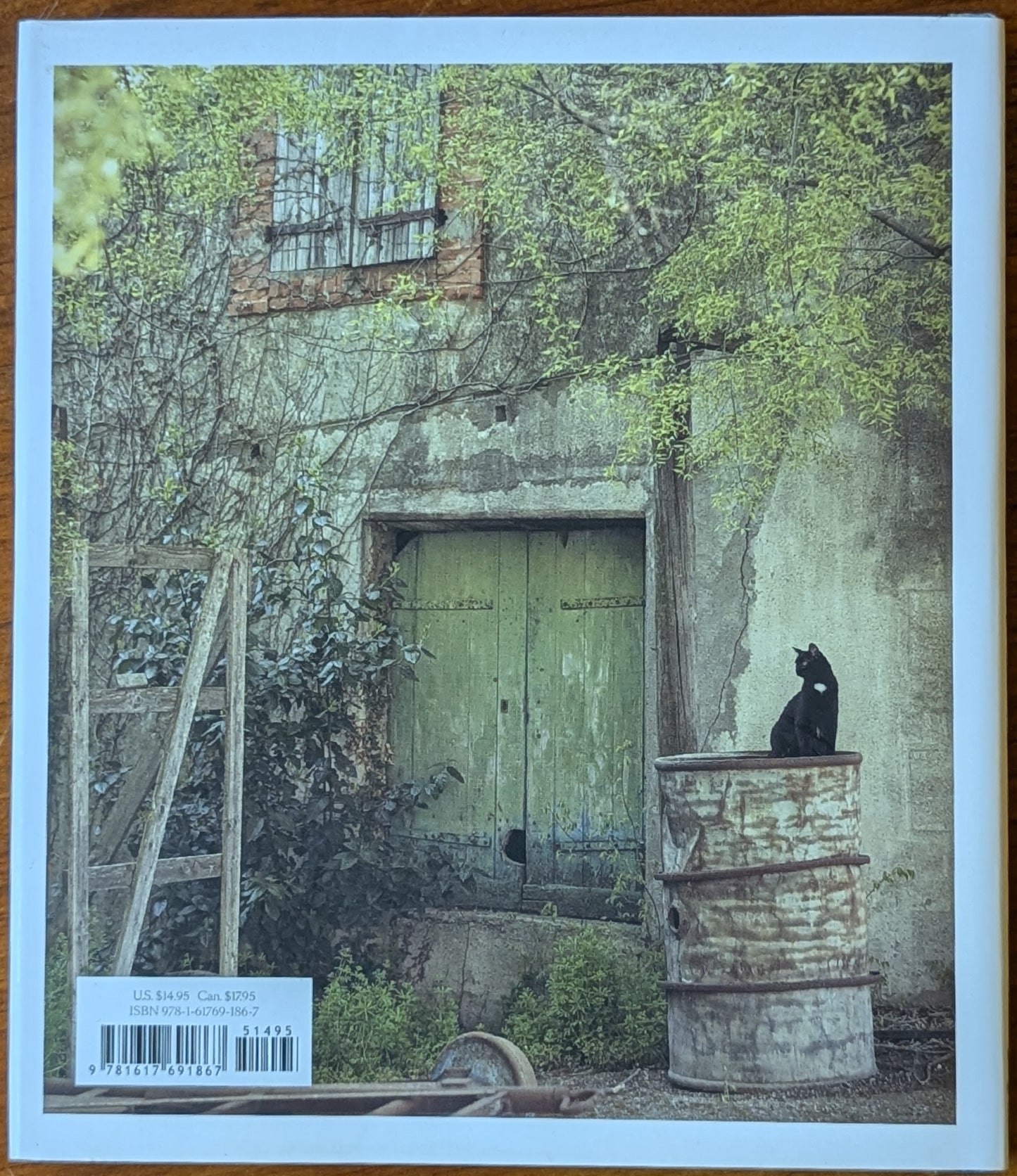 The French Cat by Rachael Hale McKenna