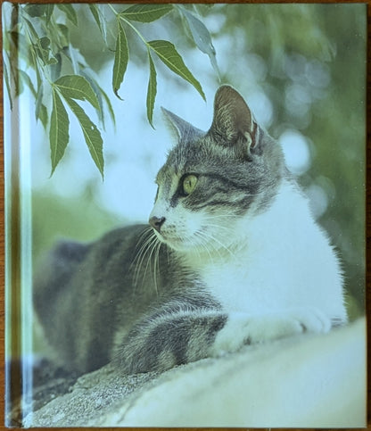 The French Cat by Rachael Hale McKenna