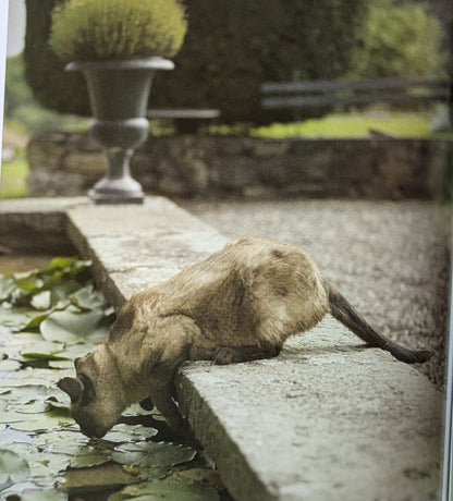 The French Cat by Rachael Hale McKenna