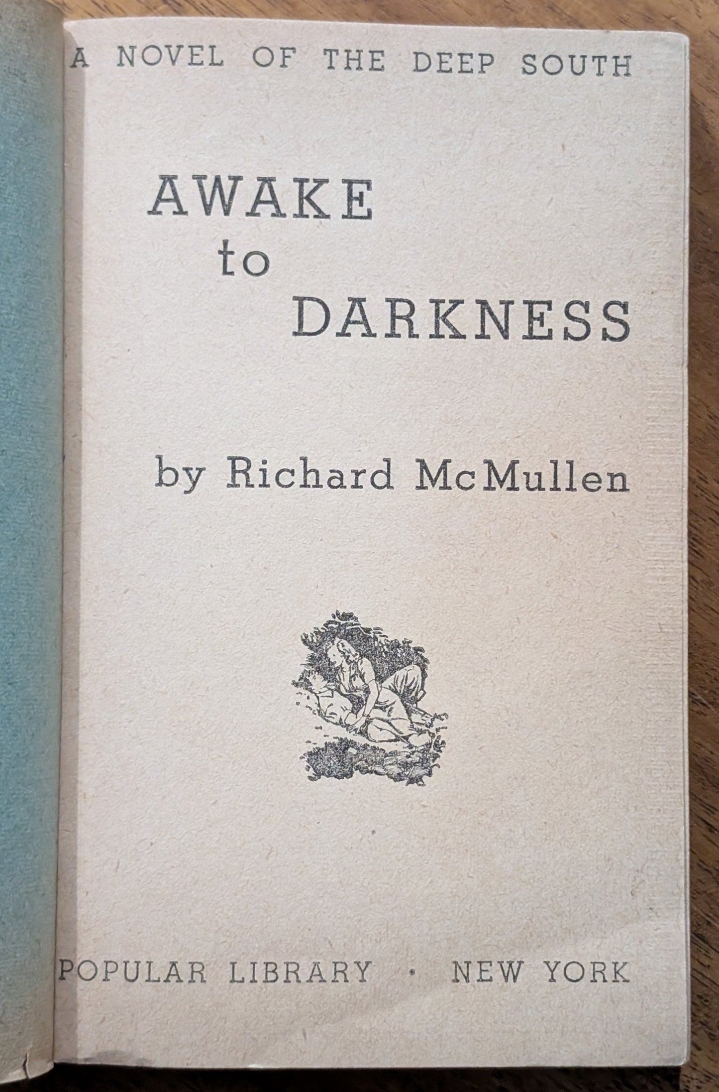Awake to Darkness by Richard McMullen