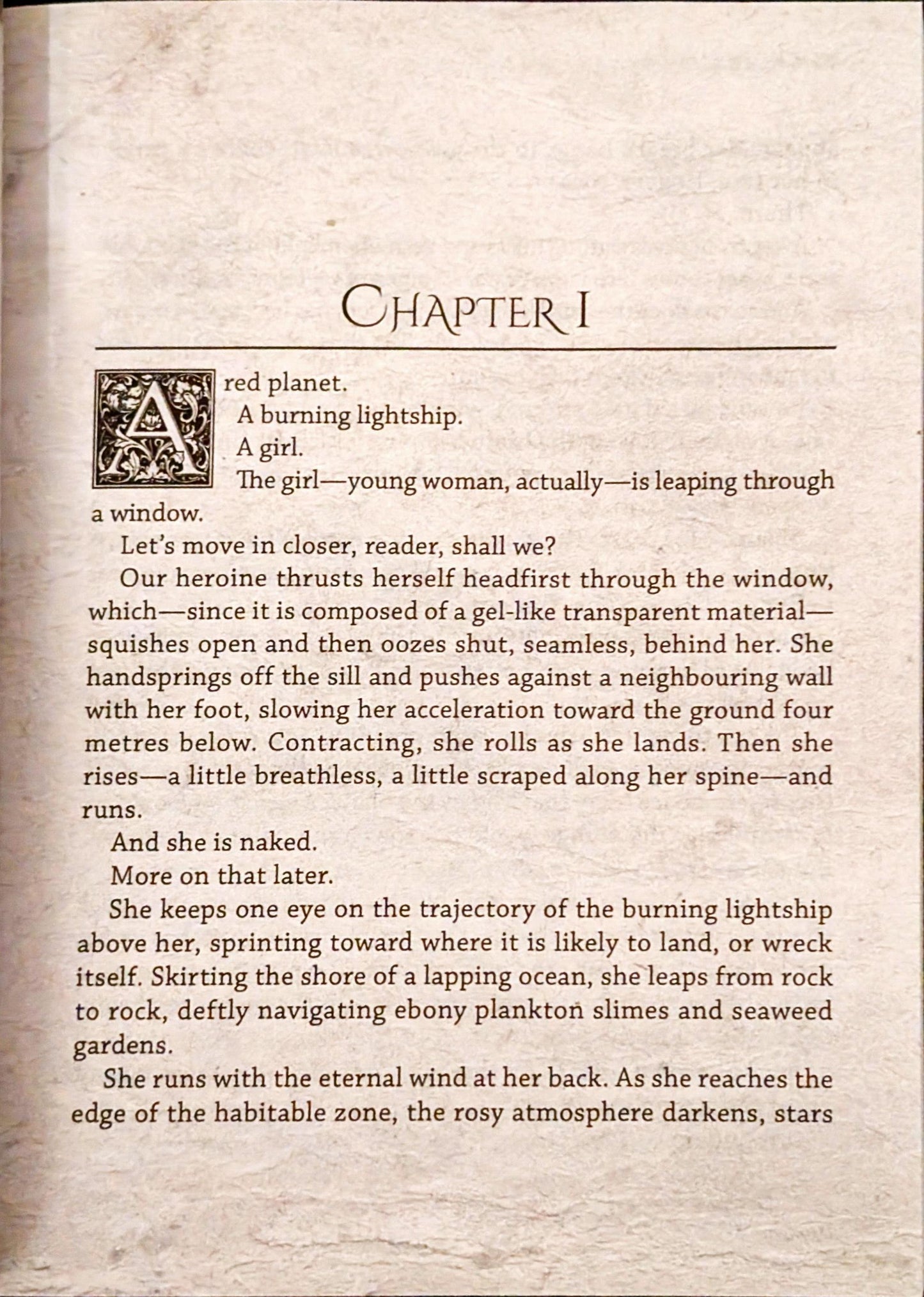 The Insubstantial Pageant by Kate Story (Signed)