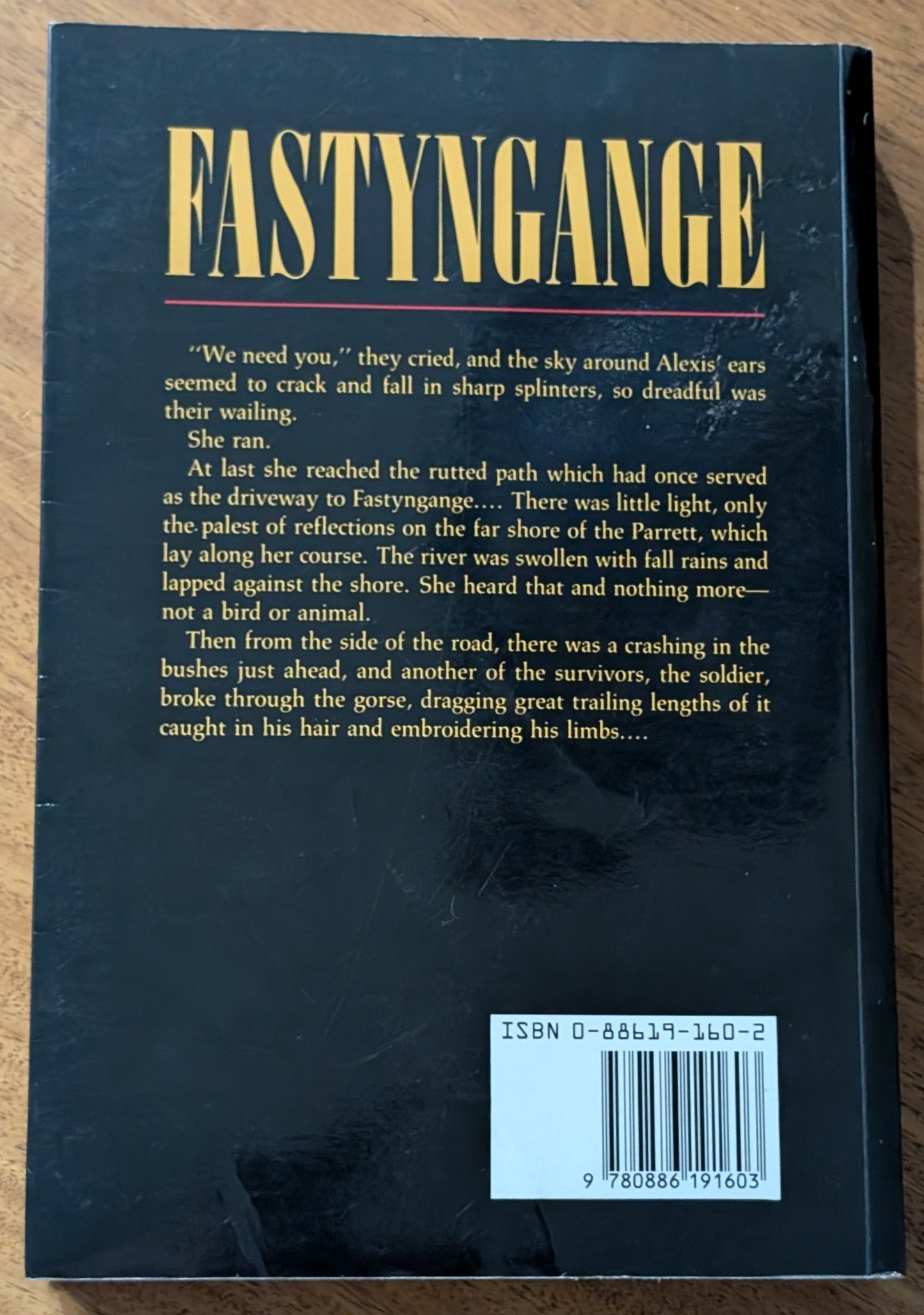 Fastyngange by Tim Wynne-Jones
