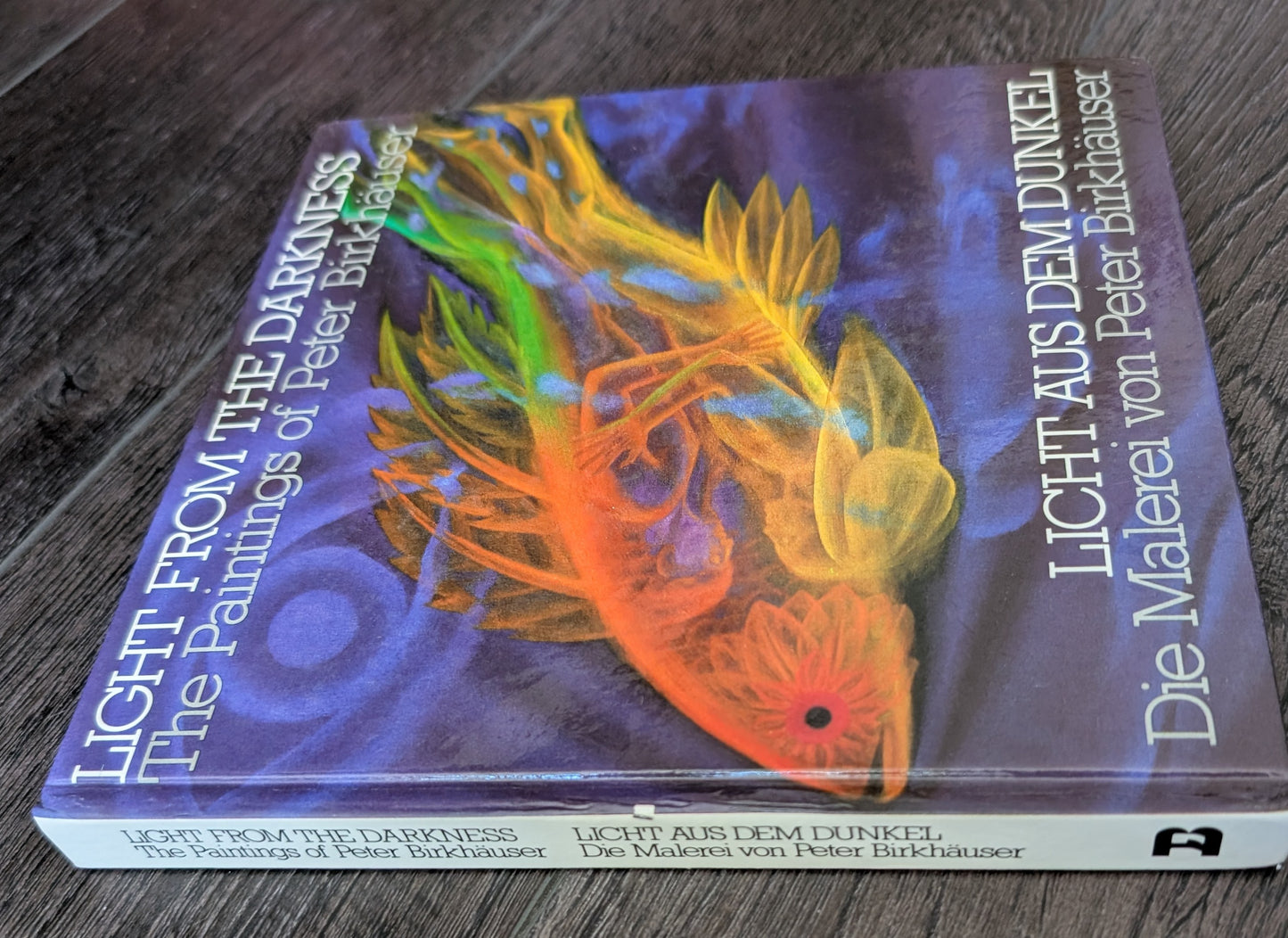 Light From The Darkness: The Painting of Peter Birkhäuser