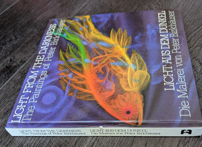 Light From The Darkness: The Painting of Peter Birkhäuser