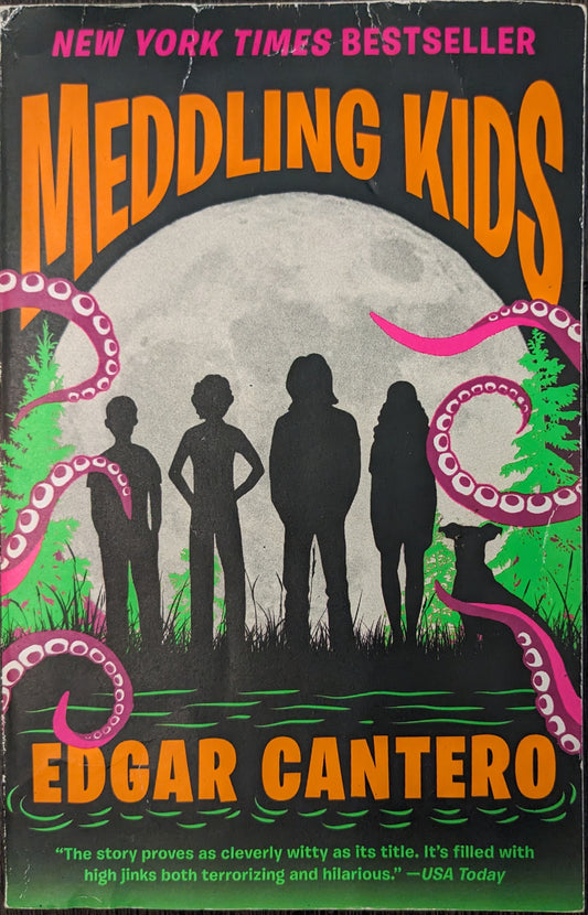 Meddling Kids by Edgar Cantero