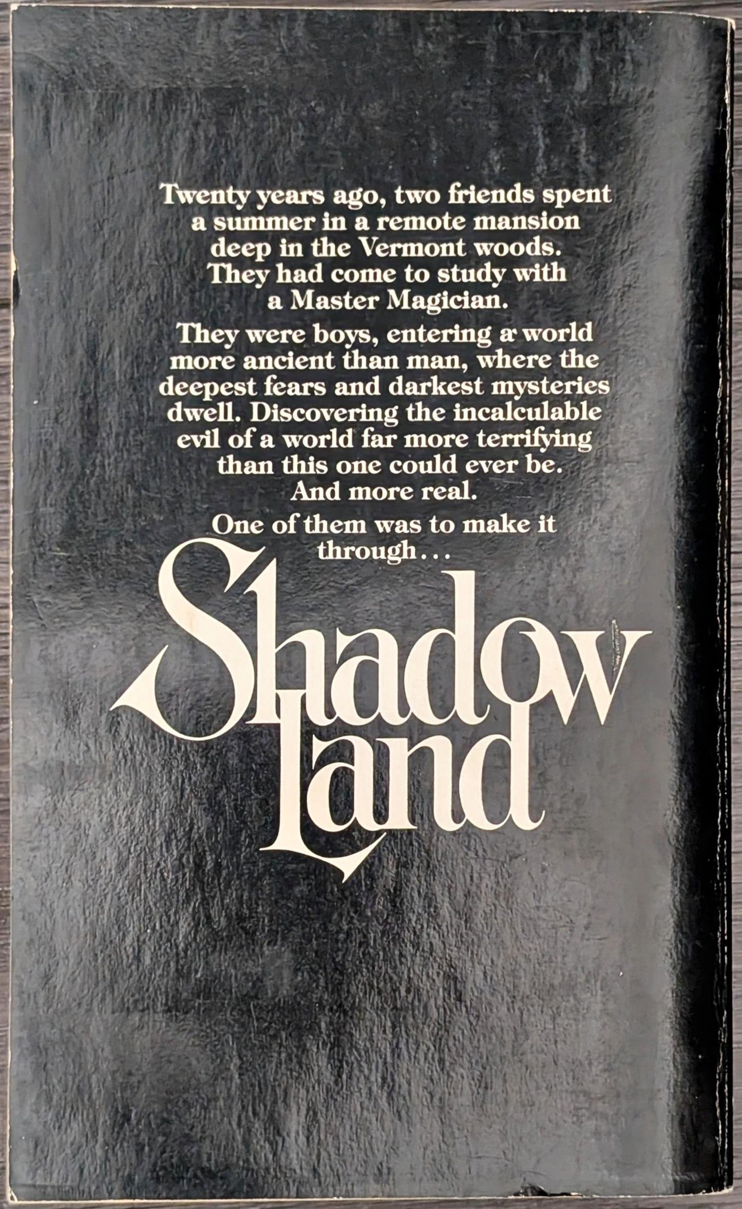 Shadow Land by Peter Straub