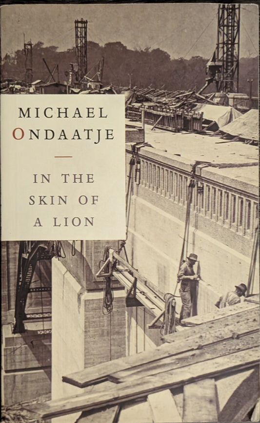 In the Skin of a Lion by Michael Ondaatje