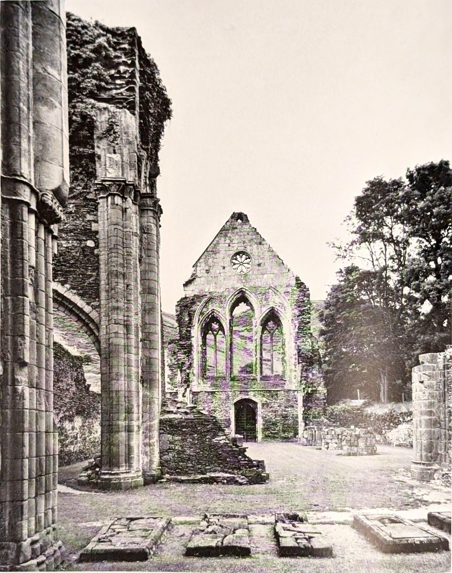 Ruins by Michael Felmingham and Rigby Graham