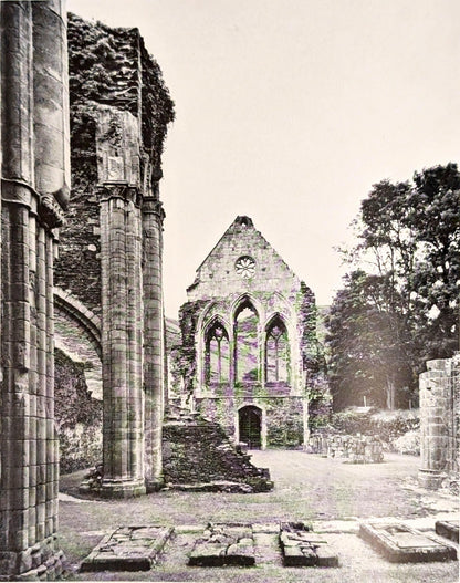 Ruins by Michael Felmingham and Rigby Graham