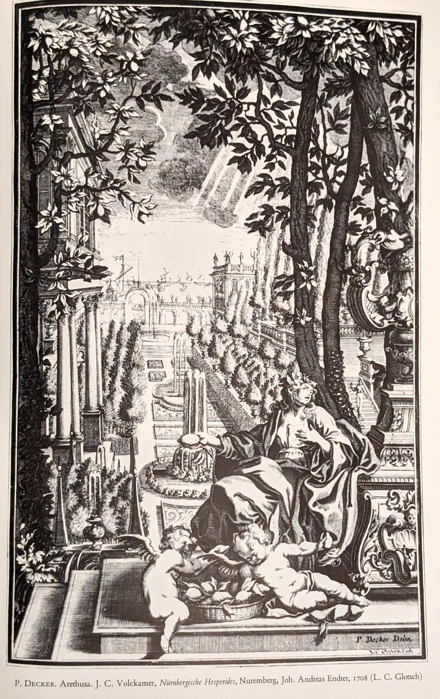 The History of the Illustrated Book: The Western Tradition by John Harthan