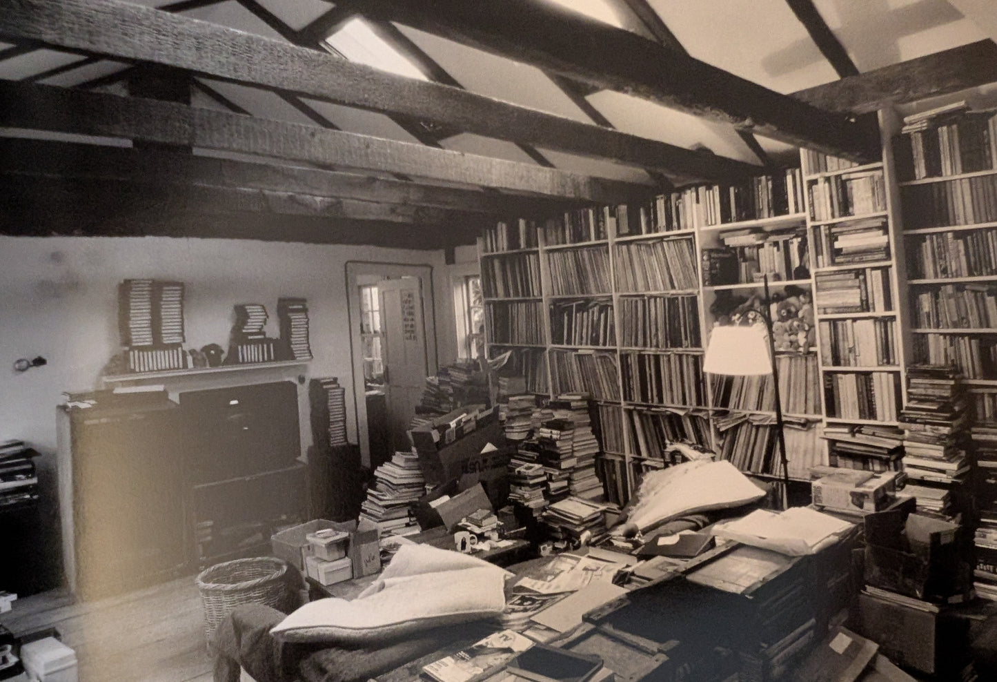 Elephant House or, The Home of Edward Gorey by photographs and text by Kevin McDermott