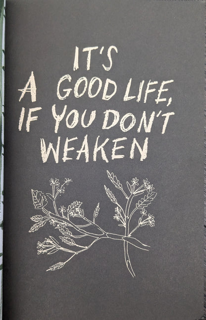 It's A Good Life, If You Don't Weaken: A Picture Novella by Seth