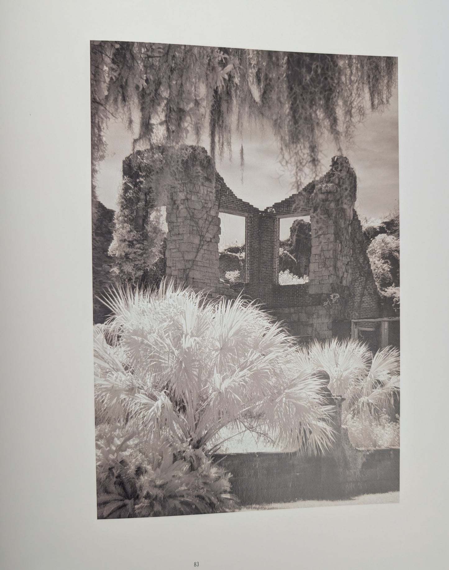 American Ruins photographs by Arthur Drooker and essay by Christopher Woodward
