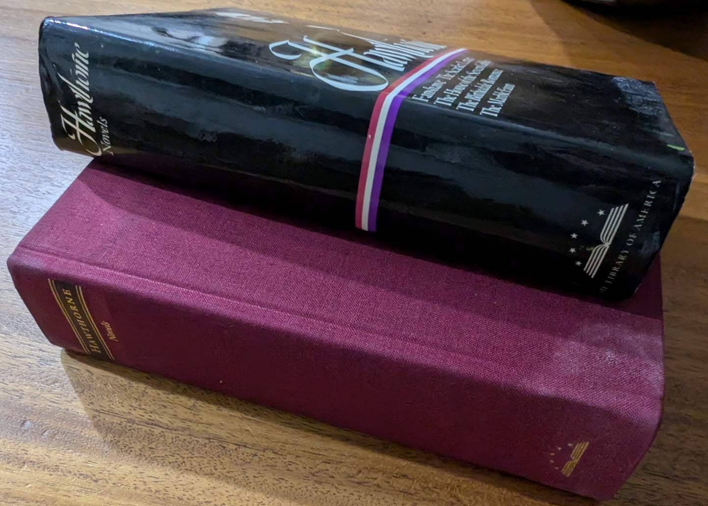 Nathaniel Hawthorne: Novels