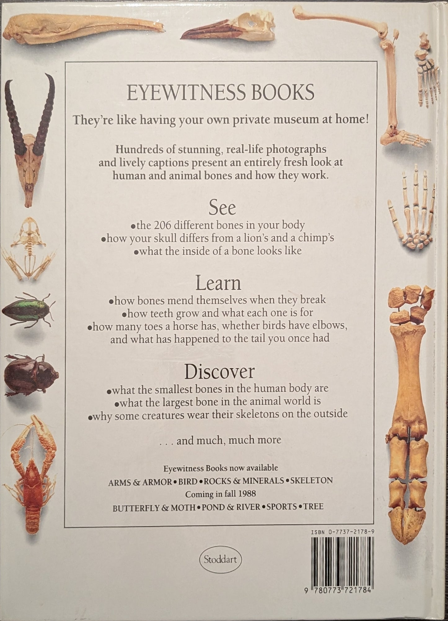 Eyewitness Books: Skeleton