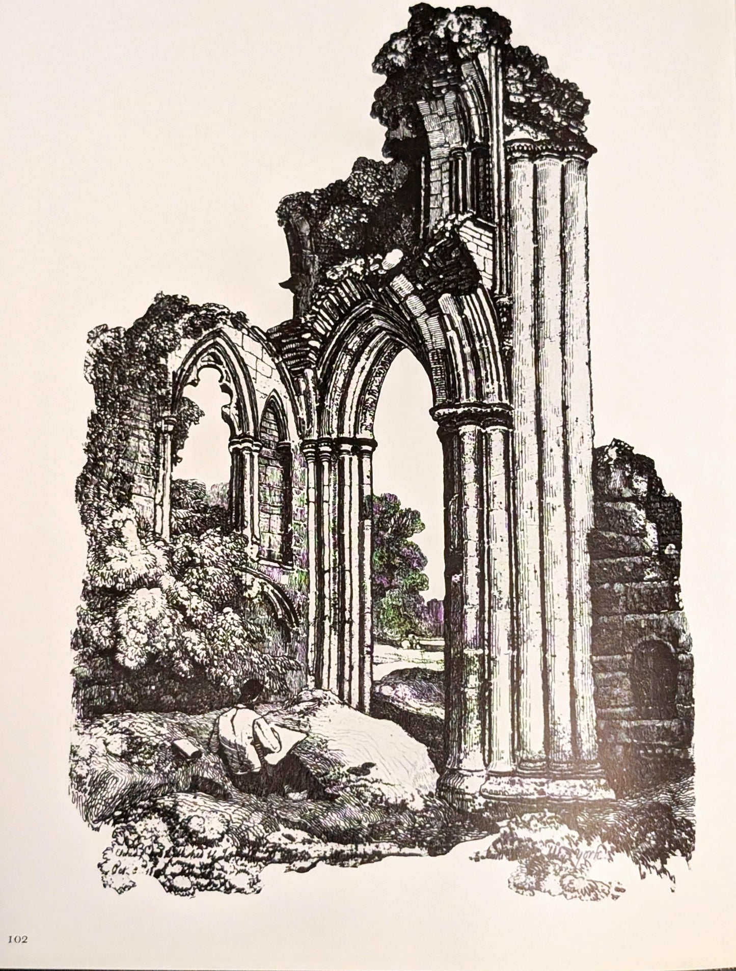 Ruins by Michael Felmingham and Rigby Graham