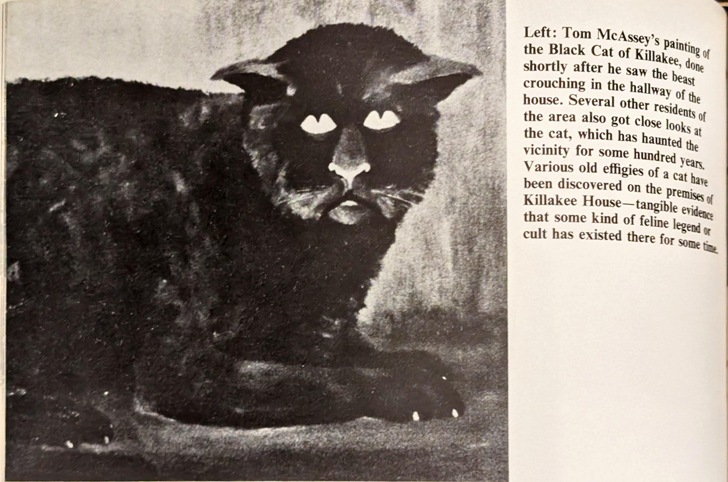 Ghosts and Poltergeists by Frank Smyth