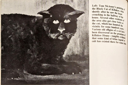 Ghosts and Poltergeists by Frank Smyth