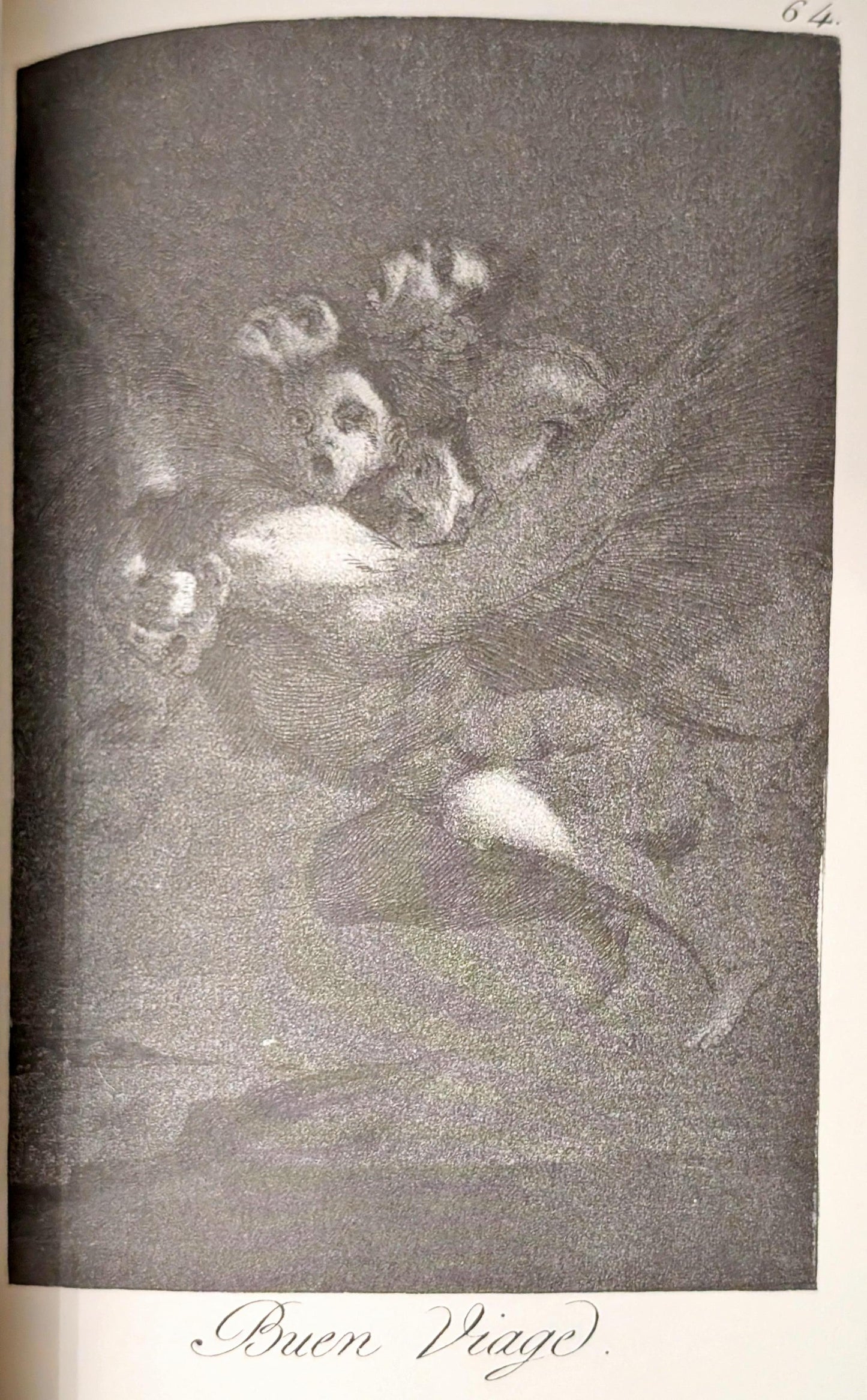 Los Caprichos by Francisco Goya