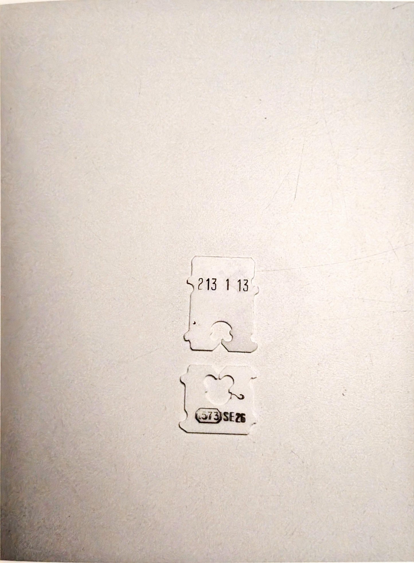 Thingness in Doubt by Therese Bolliger