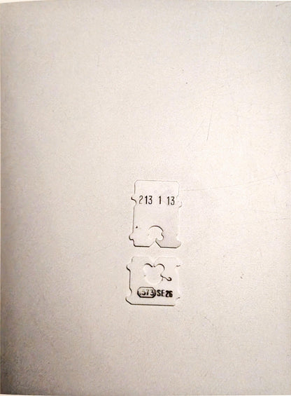 Thingness in Doubt by Therese Bolliger