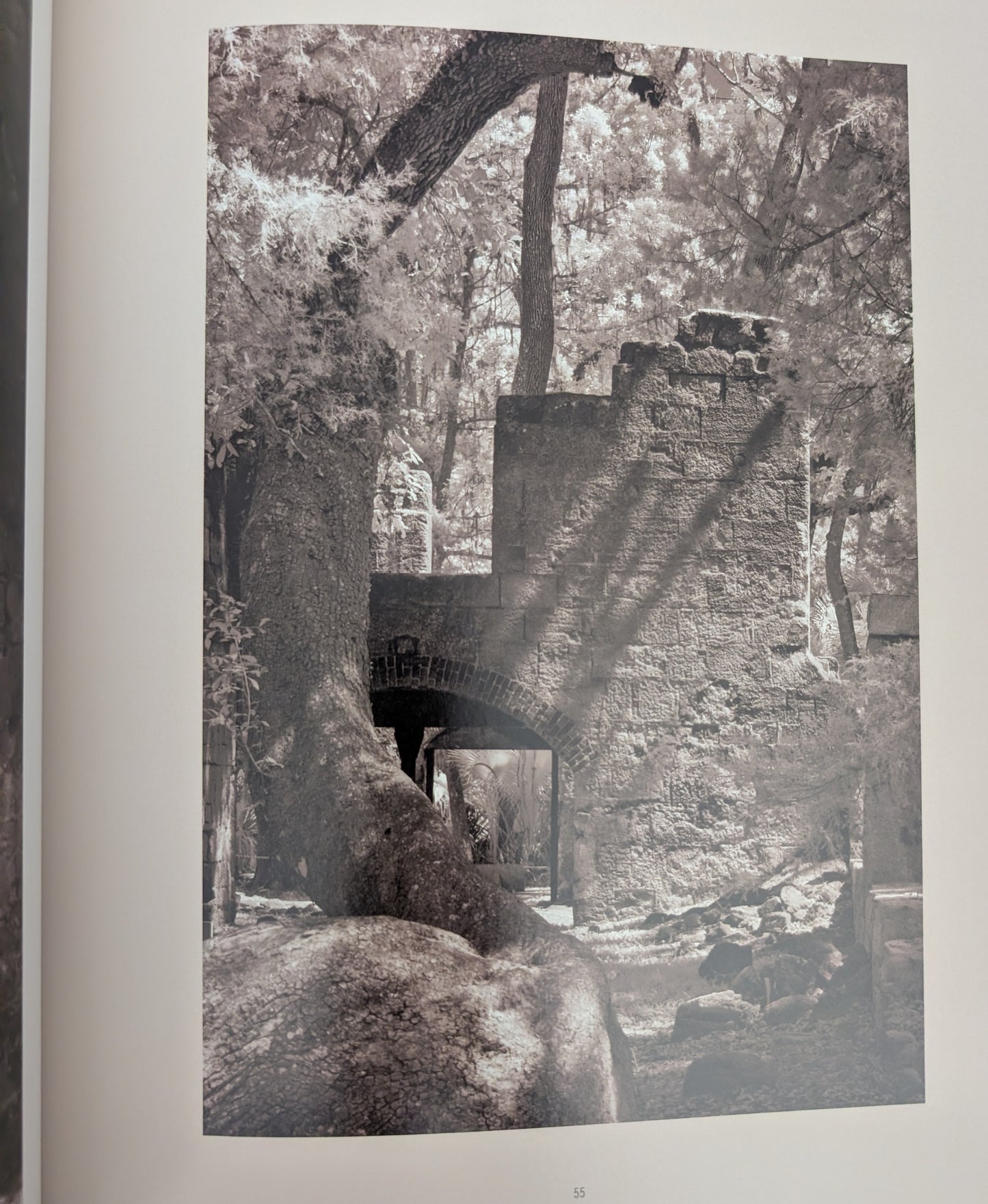 American Ruins photographs by Arthur Drooker and essay by Christopher Woodward