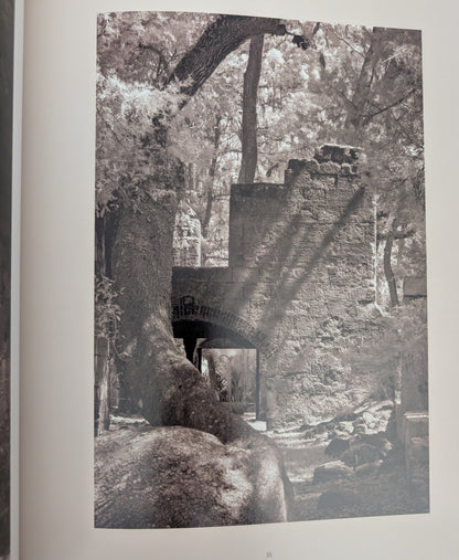 American Ruins photographs by Arthur Drooker and essay by Christopher Woodward