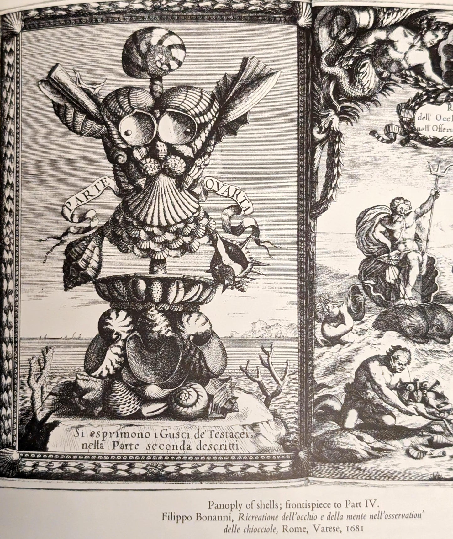 The History of the Illustrated Book: The Western Tradition by John Harthan