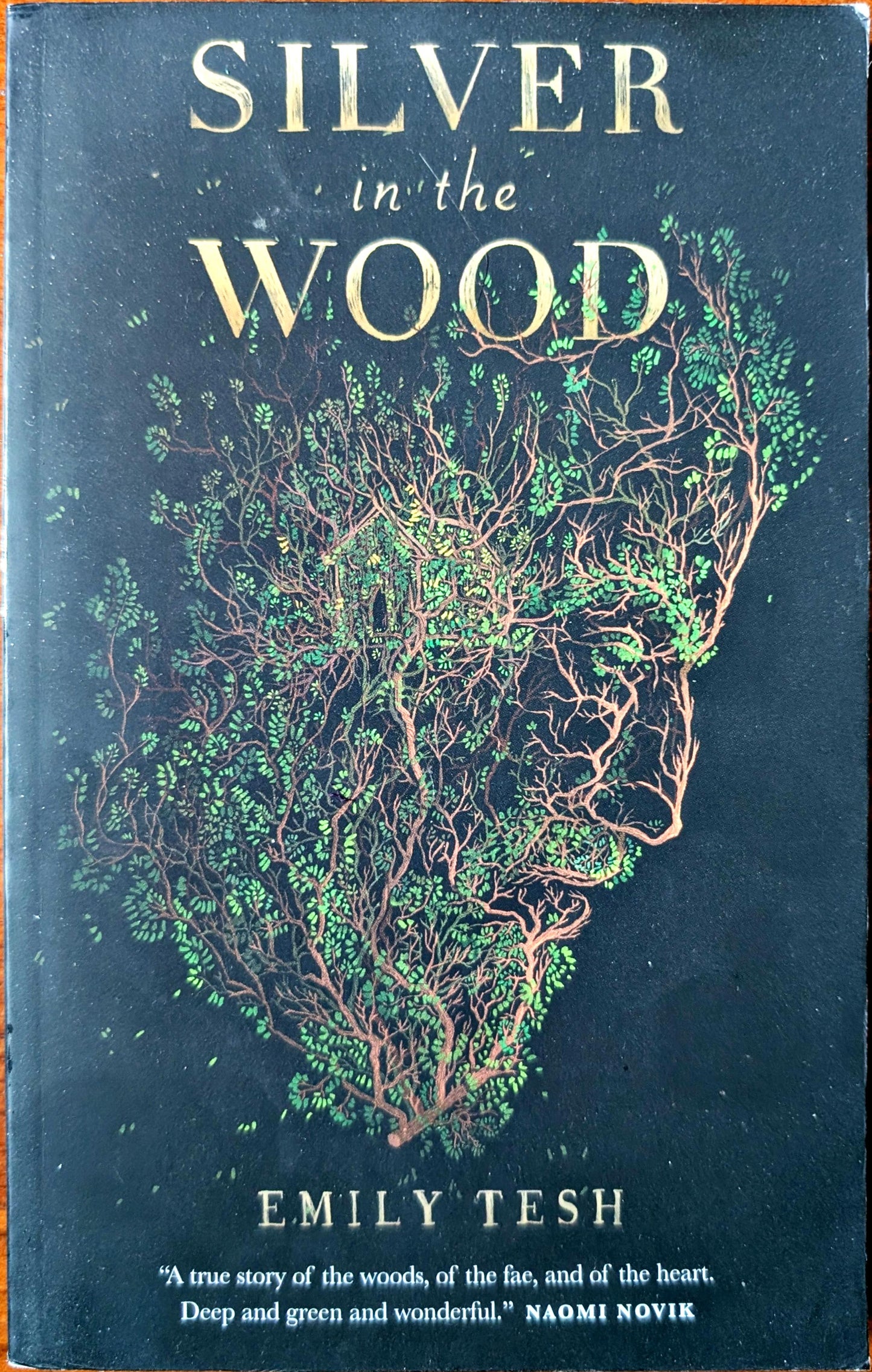 Silver in the Wood by Emily Tesh