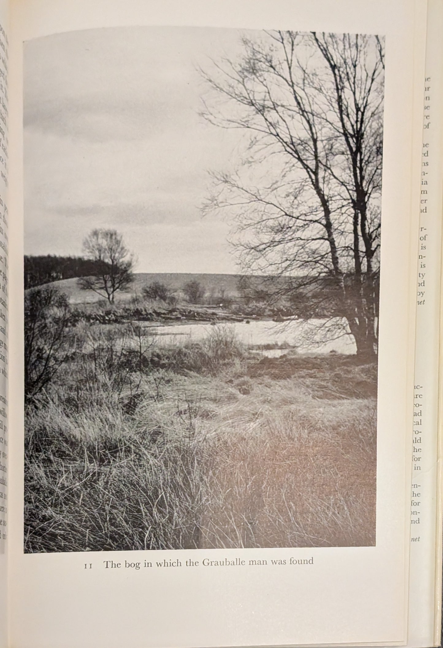 The Bog People: Iron-Age Man Preserved by P.V Glob