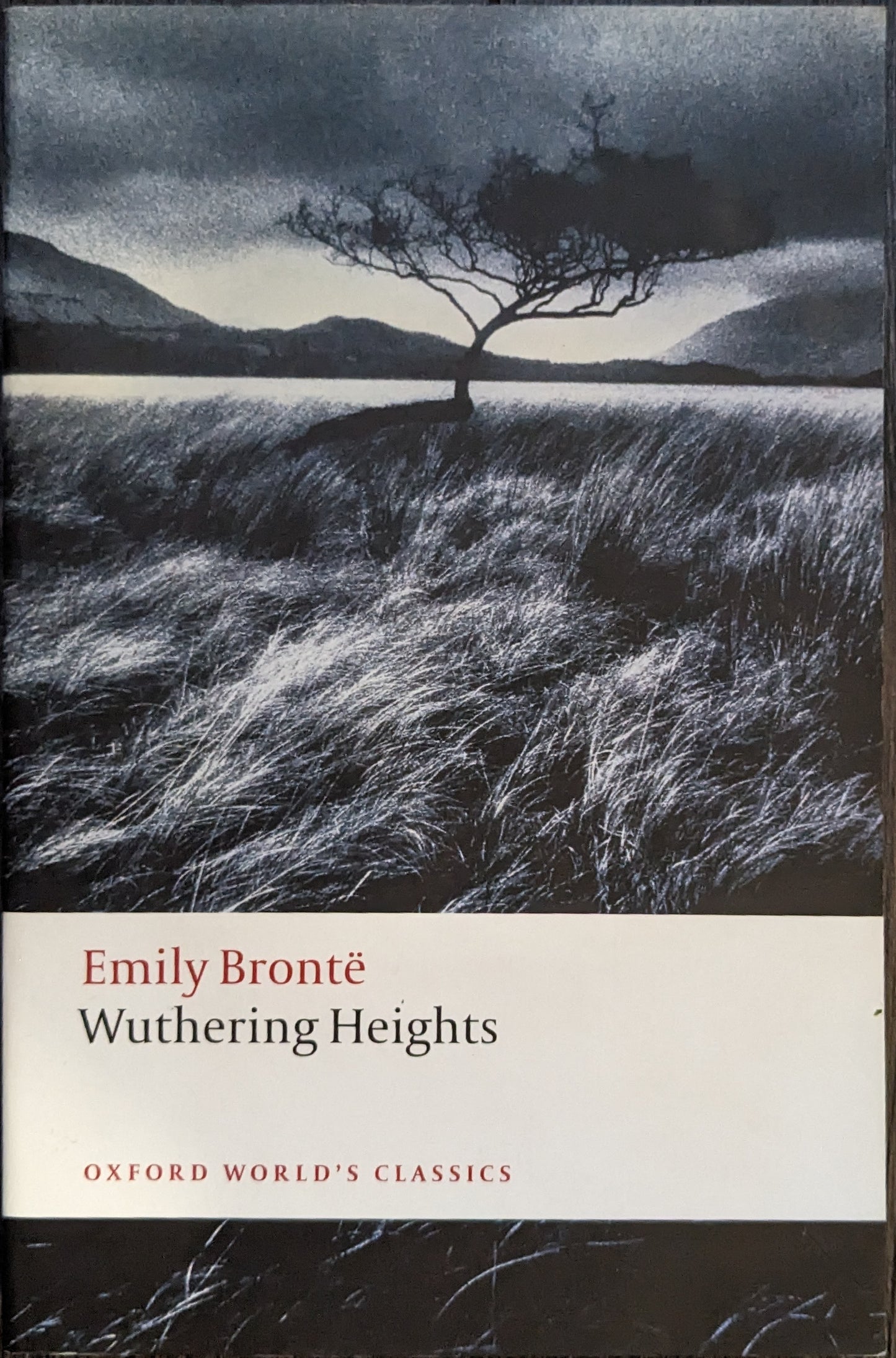 Wuthering Heights by Emily Bronte