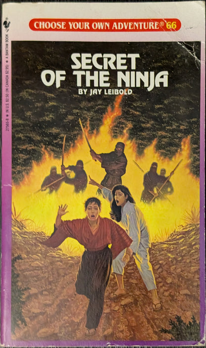 Secret of the Ninja by Jay Leibold (Choose Your Own Adventure)