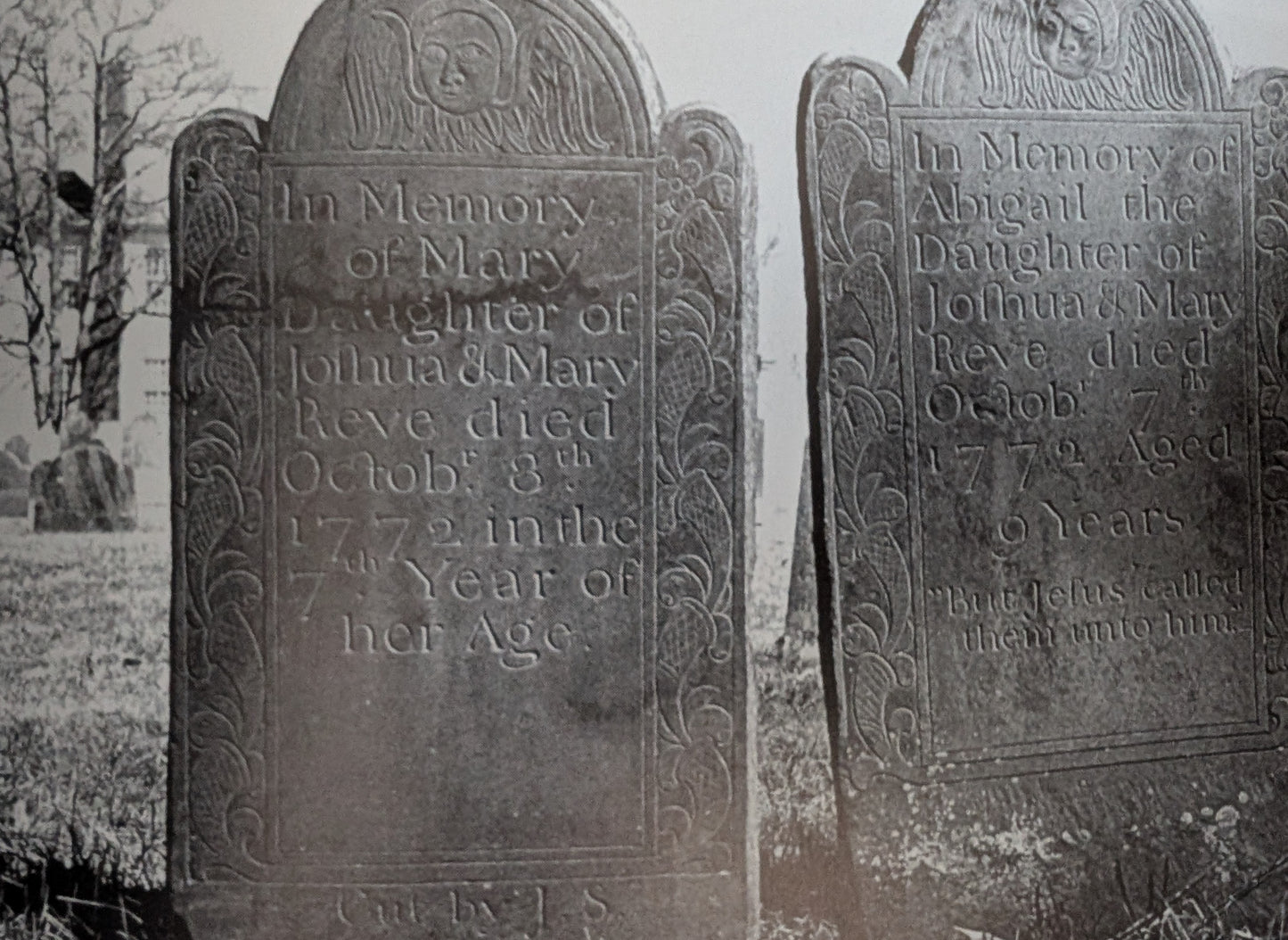 Images of America: North Fork Cemeteries by Clement M. Healy