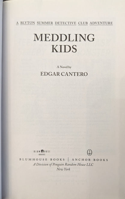 Meddling Kids by Edgar Cantero