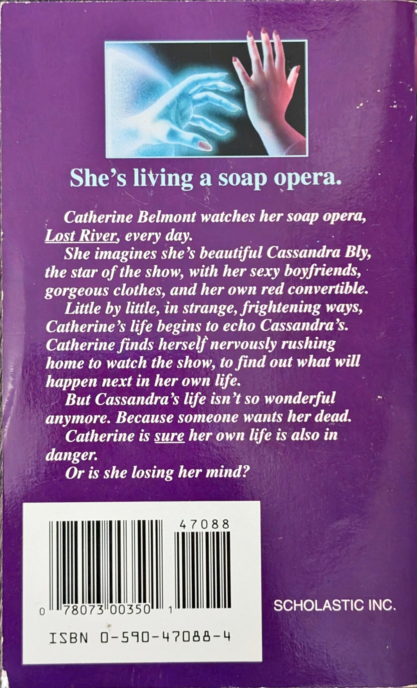 The Watcher by Lael Littke