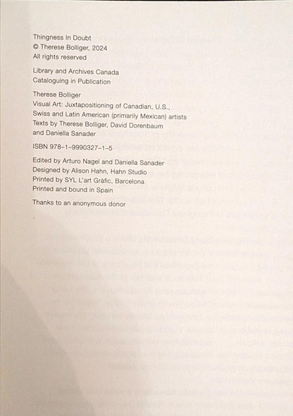 Thingness in Doubt by Therese Bolliger