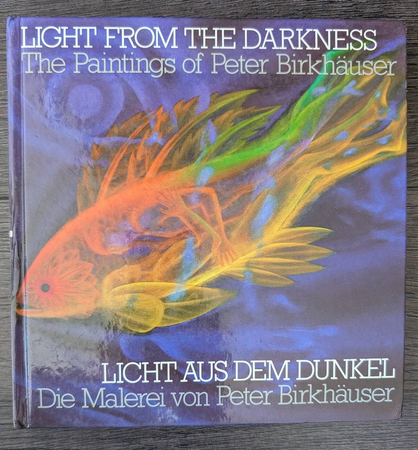 Light From The Darkness: The Painting of Peter Birkhäuser