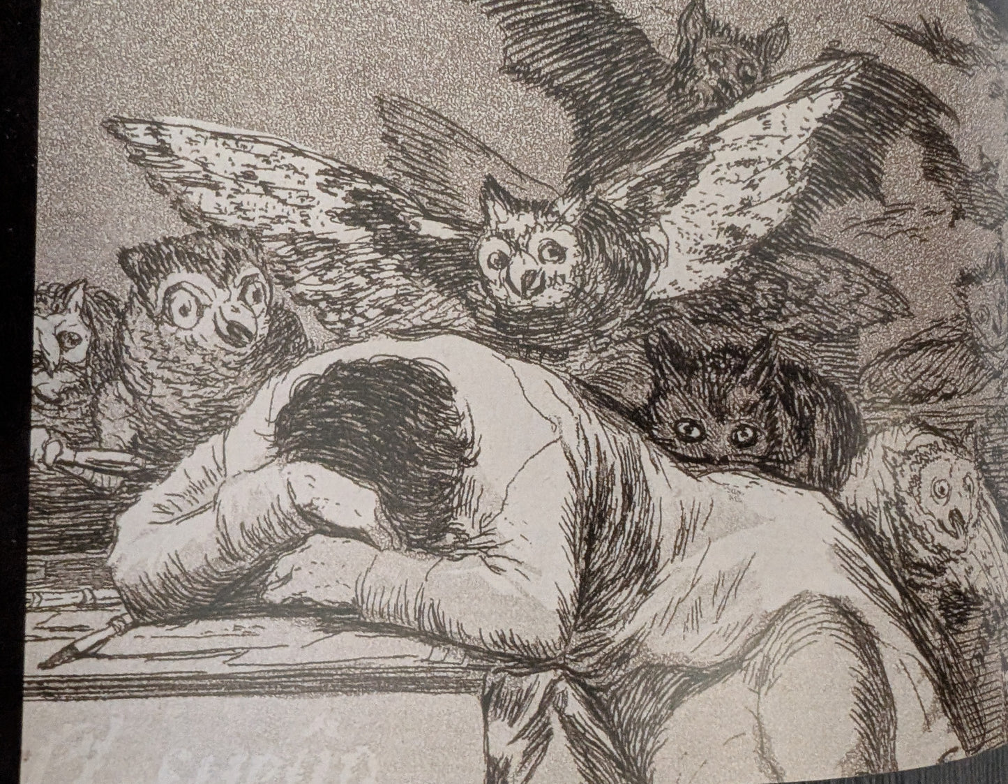 Horror Unmasked: A History of Terror from Nosferatu to Nope by Brad Weismann