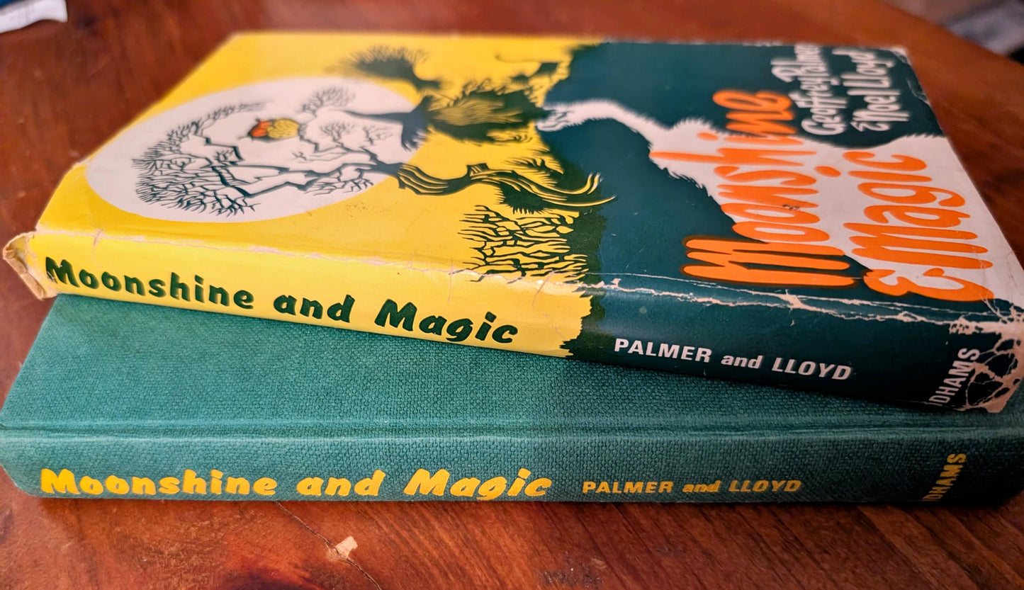 Moonshine & Magic by Geoffrey Palmer & Noel Lloyd